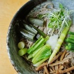 そば処 平石亭 - 「夏のぶっかけそば」左側からです（7/14UP）