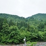 そば処 平石亭 - お店内から外の景色です⑤（7/14UP）