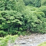 そば処 平石亭 - お店内から外の景色です⑦（7/14UP）