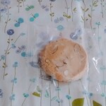 Toshi Yoroizuka - サブレアマンド