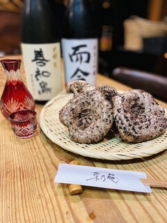 Chisouya Nanohana - 香茸と日本酒