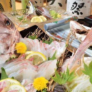 大蔵屋_1