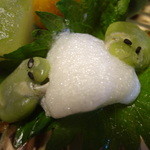 松籟庵 - 蚕豆のカエルさん