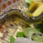 松籟庵 - 鮎　ヤングコーン