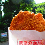 Taiwan Karaage Yokohama Zaji Pai - 