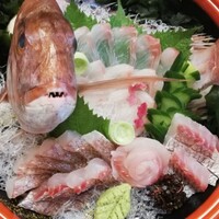 魚菜 基 -  魚菜 基 -