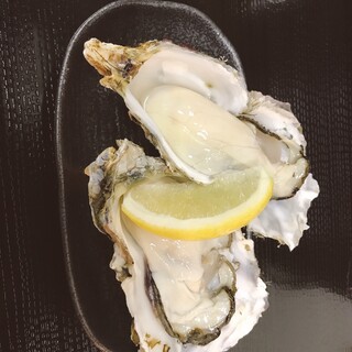 [Super specialty] Plump Oyster from Akkeshi