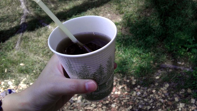 グリーンハウス - 富良野（カフェ）の写真