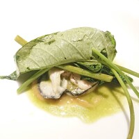 RISTORANTE IL NODO - 真牡蠣