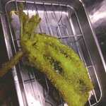 ひげ勝 - 鰯☆ふわふわで最高!!