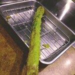 ひげ勝 - アスパラ