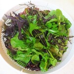 코코페리 - 그린 리프