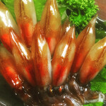 美酔酒屋 吟醸貴族 - 生ホタルイカ造り