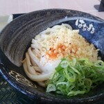 Hanamaru Udon - 