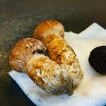 プレゼンテ スギ - 