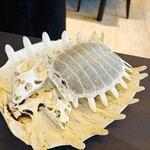 プレゼンテ スギ - 