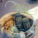 プレゼンテ スギ - 