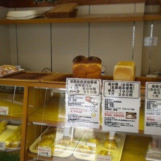 エッセエッセ_2