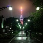 ナンディニ - けぶる東京タワー