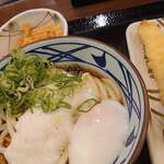 丸亀製麺 - とろ玉うどん(温/並)＋いか天 570円