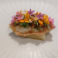ノノカ レストラン - 