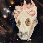 うを徳 - 鼈頭蓋骨