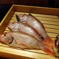 のどぐろ専門 銀座 中俣 - 