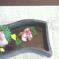 天空の庭　星のなる木 - 
