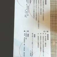 天空の庭　星のなる木 - 