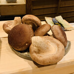 日本橋 蕎ノ字 - ☆ 静岡市岡部町の杉山農園の椎茸。玉取で菌床作りから収穫まで行われるので玉取茸と呼ばれる。ハウス1棟に1つずつラジカセを置き、栽培中の玉取茸にモーツアルトを聞かせている。
      農水大臣賞も受賞した椎茸。