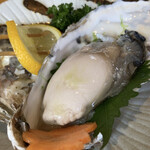 Kuidouraku Sumiyoshi - ムチムチ生牡蠣