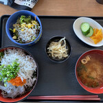 魚匠 鈴栄 - 釜揚げ・生しらす丼定食 900円です