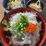 魚匠 鈴栄 - サラダも小鉢も丼も、しらす三昧です