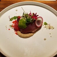 MOTORA  - 