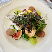 ザ テラス - 前菜