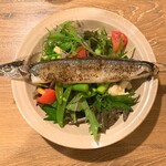 イタリア食堂 Shimaneko - 秋刀魚コンフィサラダ