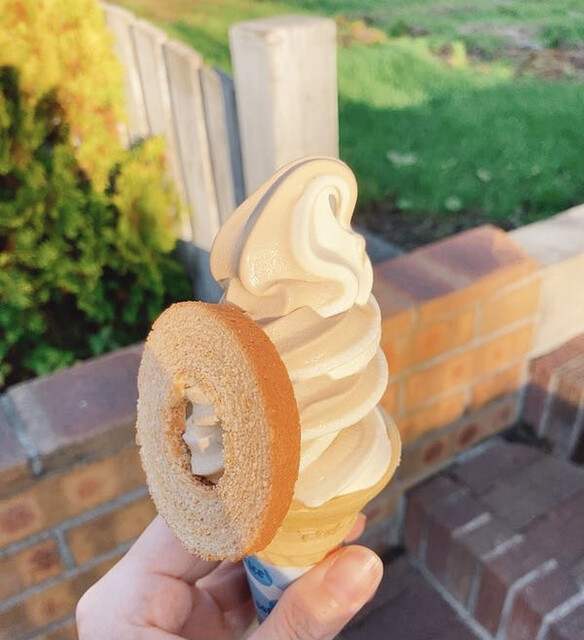 めーぷる倶楽部 岩見沢 ケーキ 食べログ