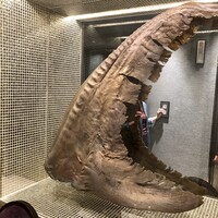 GoldFin 過門香 新橋店 -  GoldFin 過門香 新橋店 -