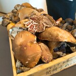 プレゼンテ スギ - 