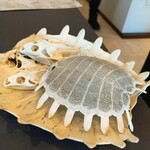 プレゼンテ スギ - 