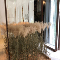 HIGASHIYA GINZA - 