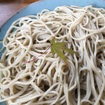 手打そば　もみじ野 - 