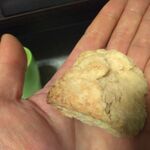 トラピカルファーム - プレーン