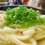 うどん 丸香 - かけうどん