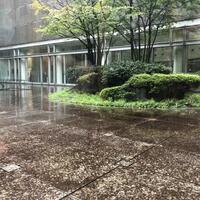 ウルフギャング・パック カフェ 愛知芸術文化センター店 - 