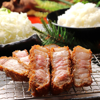 梅田で人気のとんかつ ランキングtop 食べログ