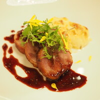 プレスキル - フランス産鴨モモ肉のコンフィ　赤ワインソースとポテトのグラタン　ドフィノワーズ