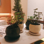 ベージュ アラン・デュカス 東京 - 食後のハーブティーはハーブを切るところから