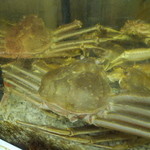 海鮮料理 すすき - 