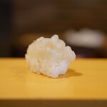 こい勢 - スルメイカ